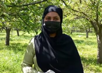 Kashmiri Woman Establishes First Kiwi Nursery in the region; inspires Entrepreneurship