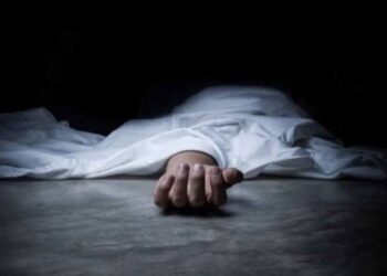 Autorickshaw driver dies while saving a dog in Shopian accident