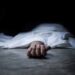 Autorickshaw driver dies while saving a dog in Shopian accident