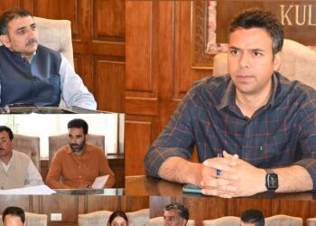 DC Kulgam reviews functioning & progress of Horticulture, Command Area, Sericulture deptts
