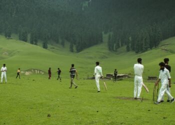 Former Indian cricketers, Ranji players call on LG Sinha