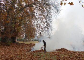 Environmental pollution behind rise in cancer cases in Kashmir: DAK