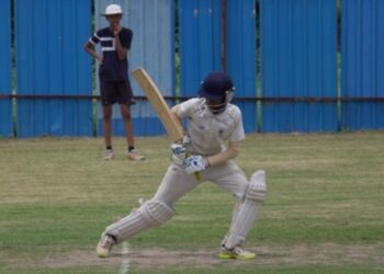 Now Kashmir Willow bats will feature in ODI World Cup