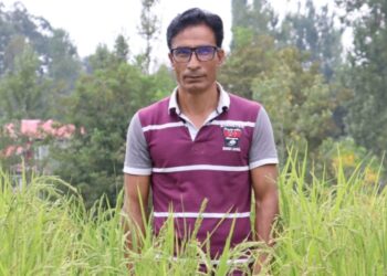 Kulgam man grows Mushk Budji rice variety on rooftop without soil