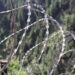 World Tourism Day: From shells to guns, Kupwara’s border villages emerge as favourite tourist destinations