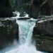 DIC Kulgam conducts Media Exposure Tour to Aharbal; tour aimed to promote picturesque tourism spot