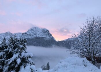 Snowfall shortage in Sonamarg sparks economic concerns for locals, tourism stakeholders