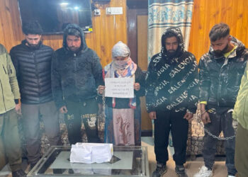Lady among 7 drug peddlers held in Kashmir: Police