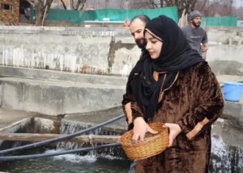 Srinagar couple hails modern technology for successful trout farm