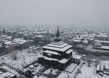 Kashmiri language our identity, we shouldn’t feel ashamed of it, experts stress