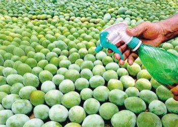 Ramadan: Expert warns against consuming early-ripened fruits citing health concerns