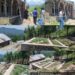 Local Gujjars encroaches RDD land in Kulgam’s Nowbug village, RDD in silent mode
