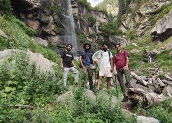 Three Kashmiri scientists discover new species of hoverfly
