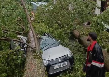 Strong winds hit Kulgam parts, no causalities reported