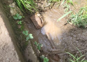 Leaking water supply pipeline irks Orchardist in Kulgam village, PHE act as mute spectator