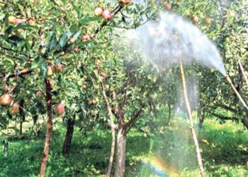 Damaged irrigation canal causes hardship to Vessu orchardists, Admin silent