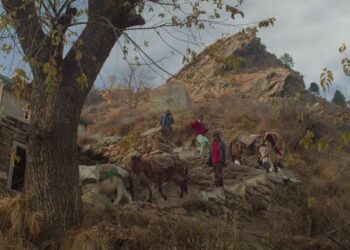 Doda filmmakers shine: ‘Only If the Baby Cries…’ wins international award at Ji.hlava Film Festival