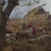 Doda filmmakers shine: ‘Only If the Baby Cries…’ wins international award at Ji.hlava Film Festival
