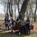 From sanctuary to wasteland: Haigam Wetland no more a haven for migratory birds, says EPG