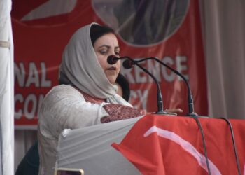 Sakeena Masood holds public grievance redressal camp in Gudder Kulgam
