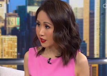 Harris surrogate gives firsthand account of the ‘epic disaster’ of election night loss to Trump