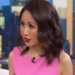Harris surrogate gives firsthand account of the ‘epic disaster’ of election night loss to Trump