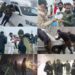 From Pushing Cars to Saving Lives: Police Shine During & After Snowfall