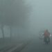 Dense fog disrupts normal life in Kashmir, delays flights at Srinagar airport for 2nd day