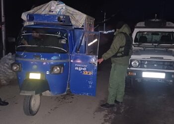 Ahead of Republic Day: Security beefed up in Kulgam’s Manzgam