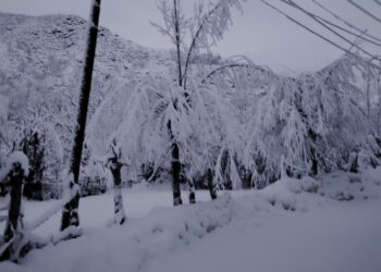 Post-Snowfall Restoration Work Underway In Kashmir Valley: CM Omar