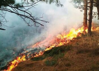 Prolonged Dry Spell: Forest fire breaks out at multiple places in Kashmir
