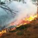 Prolonged Dry Spell: Forest fire breaks out at multiple places in Kashmir