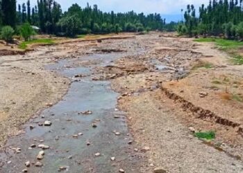 Civil society calls for collective action to combat declining water levels in rivers, streams