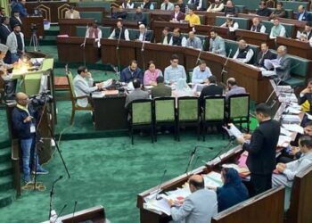 AAP MLA claims BJP constructing office on government land