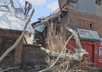 Gusty winds damage power infra, affect power supply in Kulgam, dozens of houses damaged