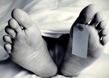 Elderly Tourist dies after he fell unconscious in Kulgam