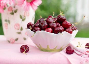 Imported cherry varieties – from Italy, Bulgaria – fetch premium prices in Kashmir