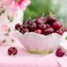 Imported cherry varieties – from Italy, Bulgaria – fetch premium prices in Kashmir
