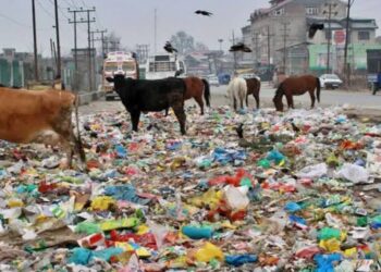 Remove encroachments, solid waste from roadside or face action: Authorities warn Kulgam residents
