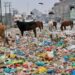 Remove encroachments, solid waste from roadside or face action: Authorities warn Kulgam residents