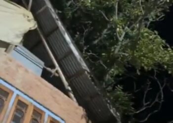 Narrow escape for family after tree falls on house in Kulgam’s Behibagh