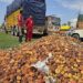 ‘Giran’ apples rot in orchards due to highway closures, say growers