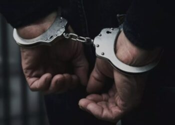 Kulgam Police crack livestock theft case, recover sheep worth lakhs, 4 held
