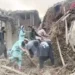Earthquake in eastern Afghanistan kills at least 610 people, injures 1,300