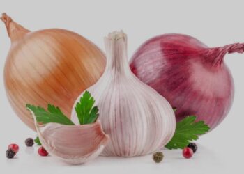 Kulgam’s Garlic and Onion Cultivation Generates ₹28 Crore Revenue This Year