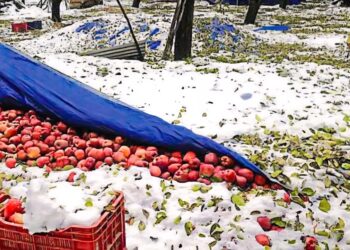 Western Disturbance to Bring Heavy Rain & Snow in J&K From Oct 4–7; MET Issues Advisory