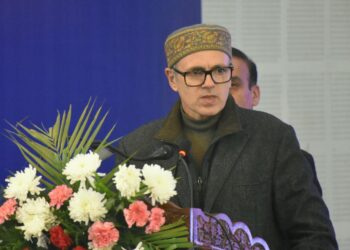 Driving a J&K vehicle in Delhi now feels like a crime: CM Omar In Kulgam