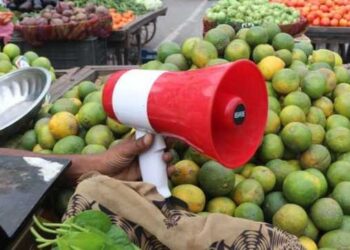 SDM Zainapora orders ban on loudspeaker use by moving vendors to curb noise pollution