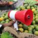 SDM Zainapora orders ban on loudspeaker use by moving vendors to curb noise pollution