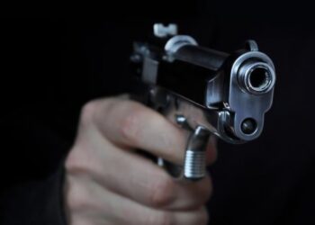 Ex-Punjab IPS Officer Shoots Himself After Falling Victim to Rs 8.10 Cr Cyber Fraud
